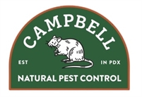  Austin Campbell